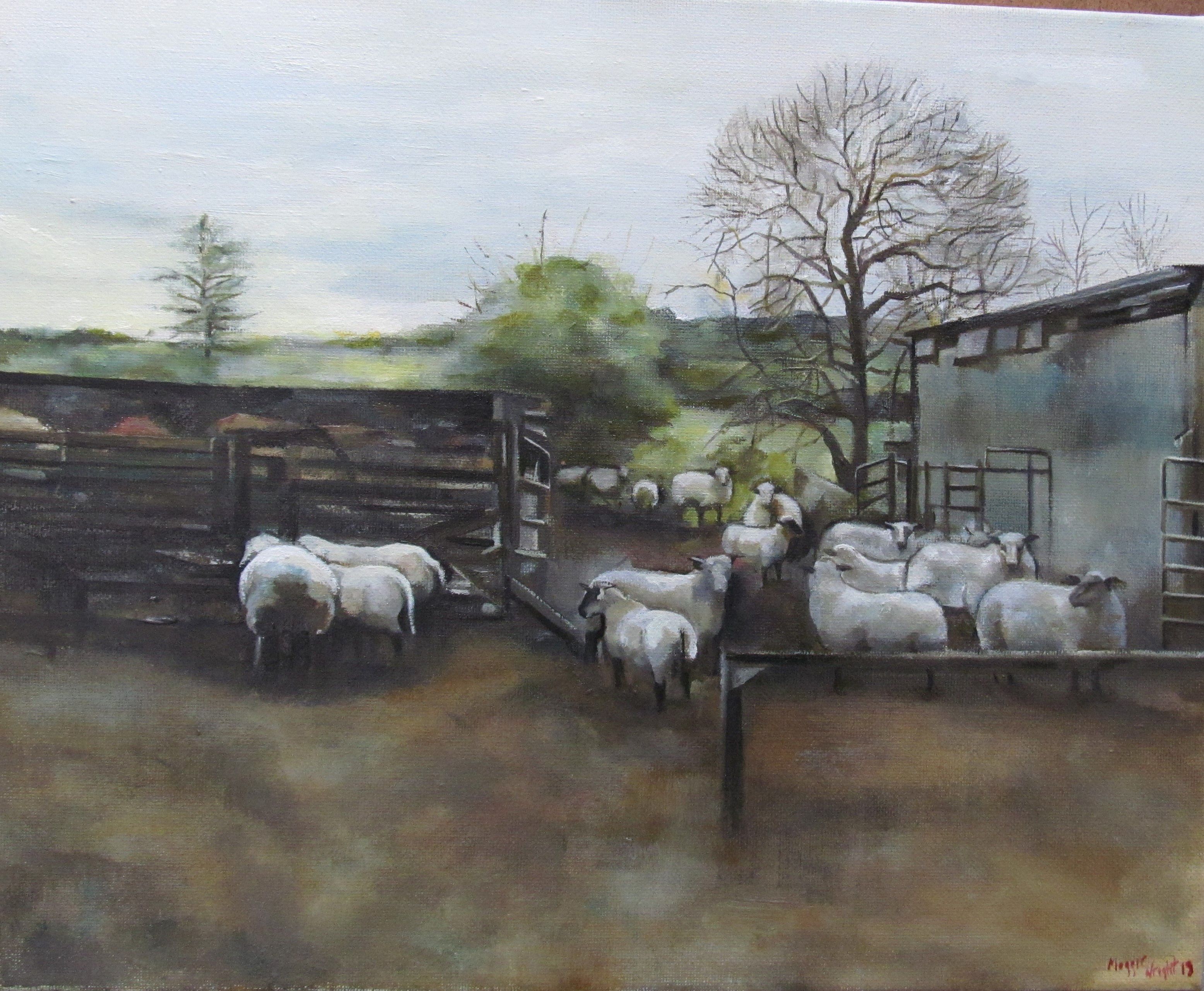 Paddy Joe's Sheep Gathering  by Maggie Wright